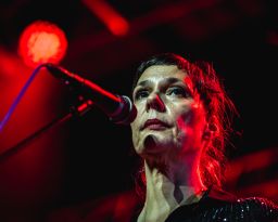 Stereolab